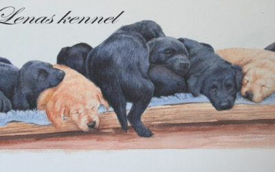 Inga-Lenas kennel